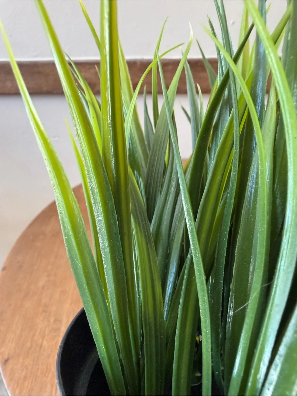 IKEA Fejka Artificial potted plant, indoor/outdoor grass